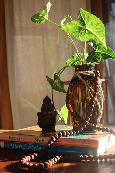 Nest 2 - Eco Boutique Villa